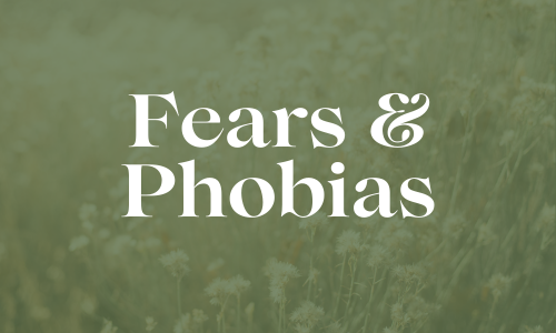 Fear and Phobias Service